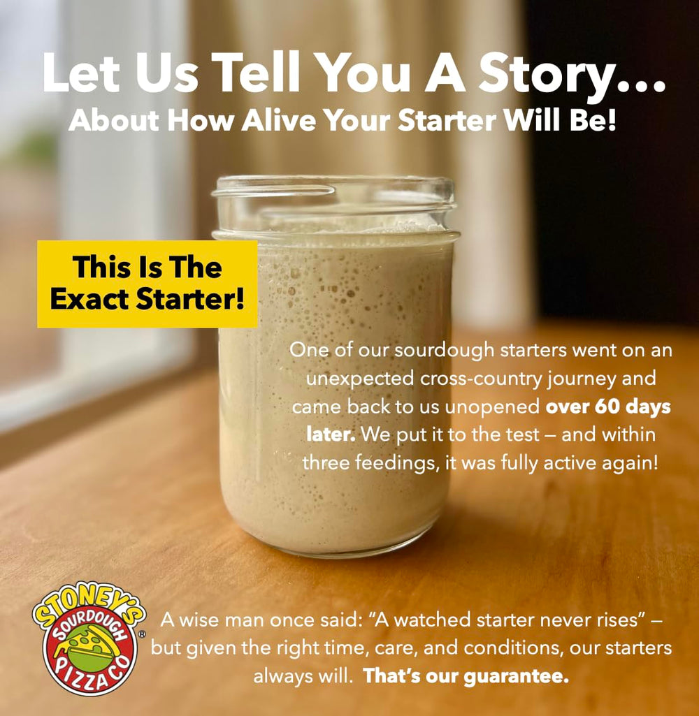 Active, bubbly starter shows strong culture ready to bake at home.
