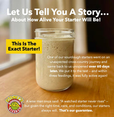 Active, bubbly starter shows strong culture ready to bake at home.