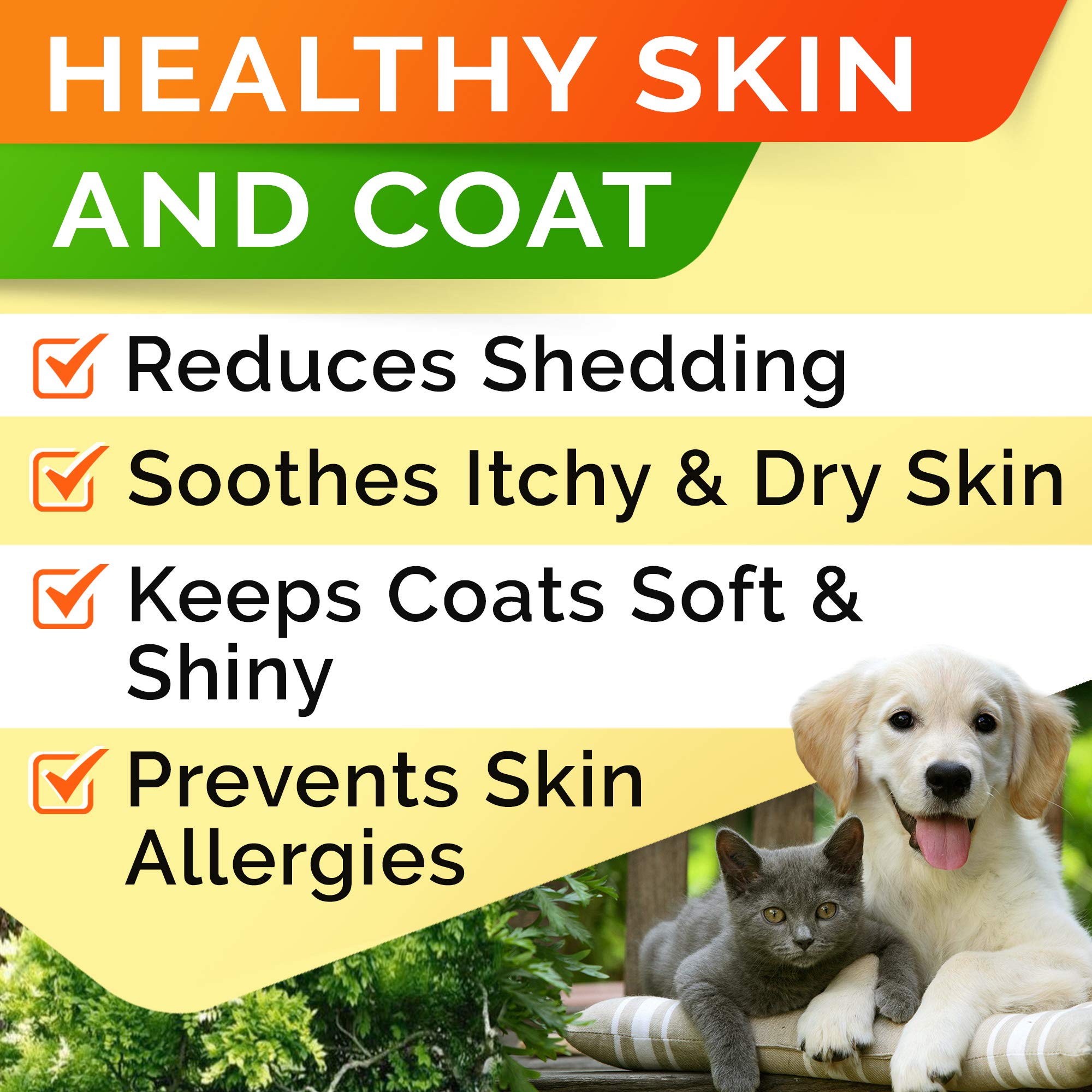 StrellaLab dog coat glow after applying salmon oil