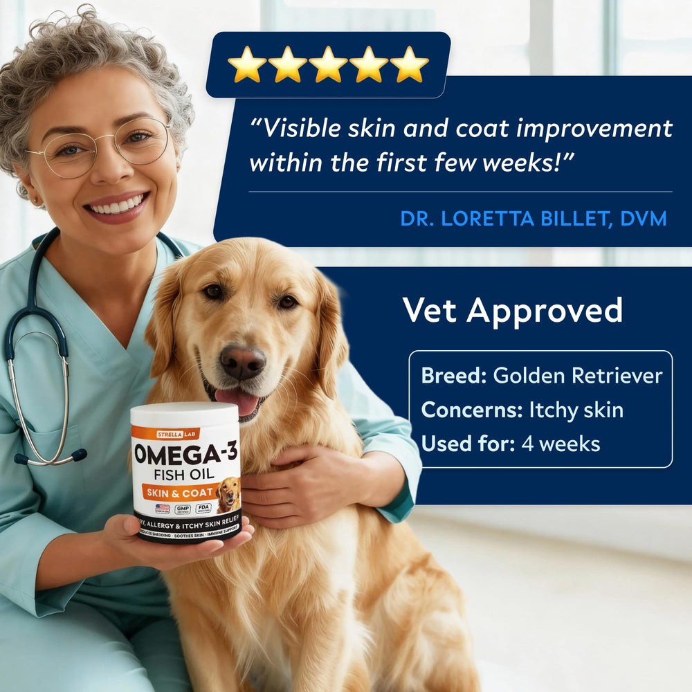 STRELLALAB Omega3 immune and heart-friendly nutrients concept for dogs.