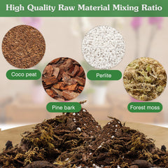 Dried forest moss in the mix preserves moisture for orchid roots.