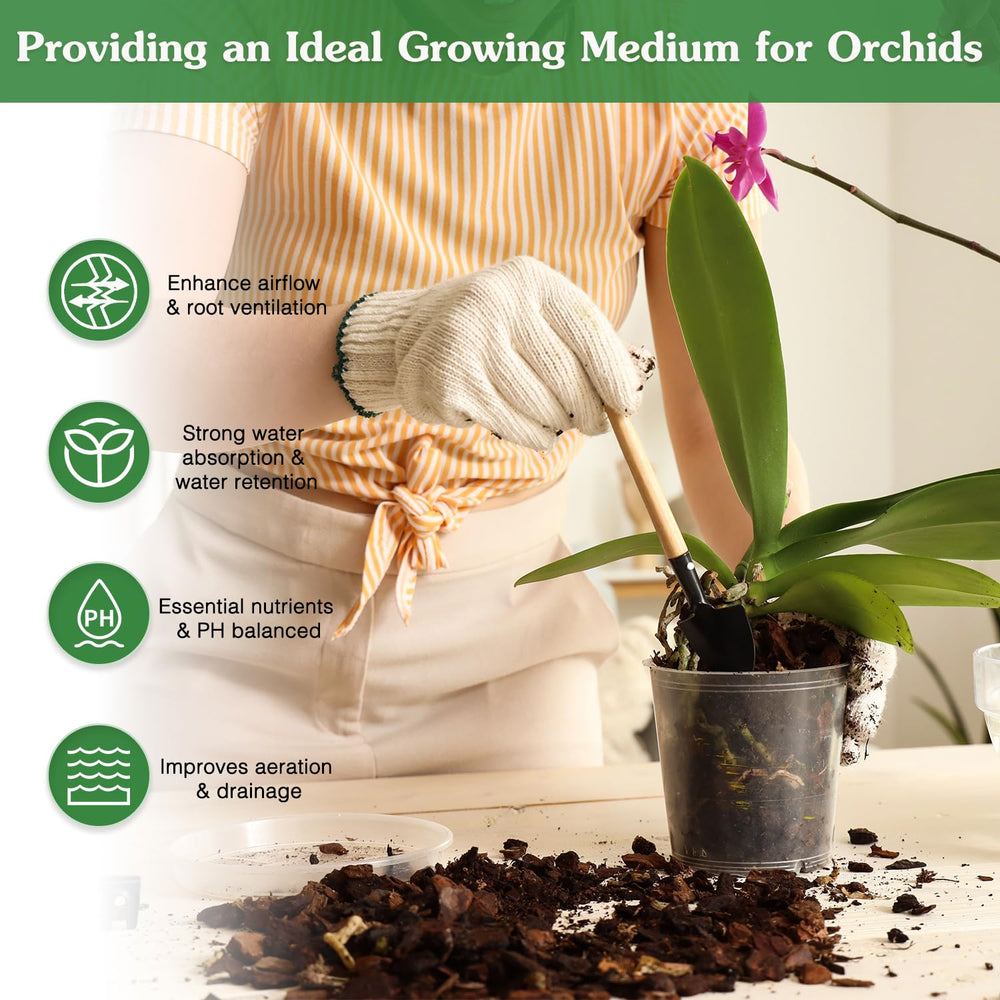 Perlite in the mix improves aeration and drainage for healthy roots.