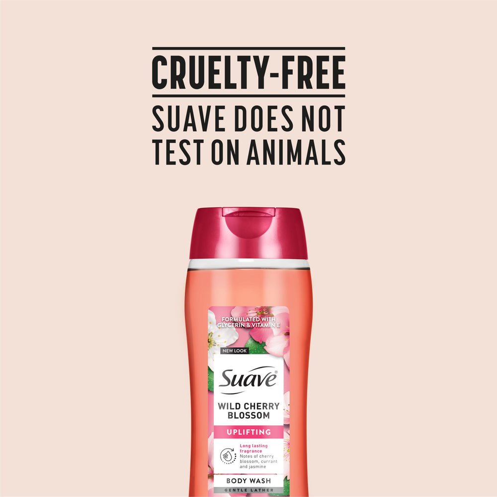 18 oz bottle in a multi-pack from Suave Wild Cherry Blossom