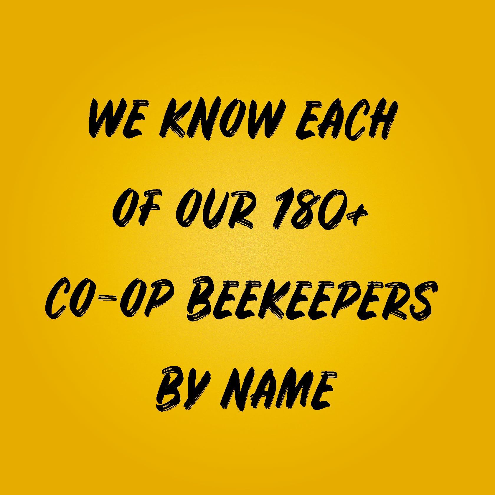 Sue Bee honey used as a baking ingredient for moist, flavorful desserts.