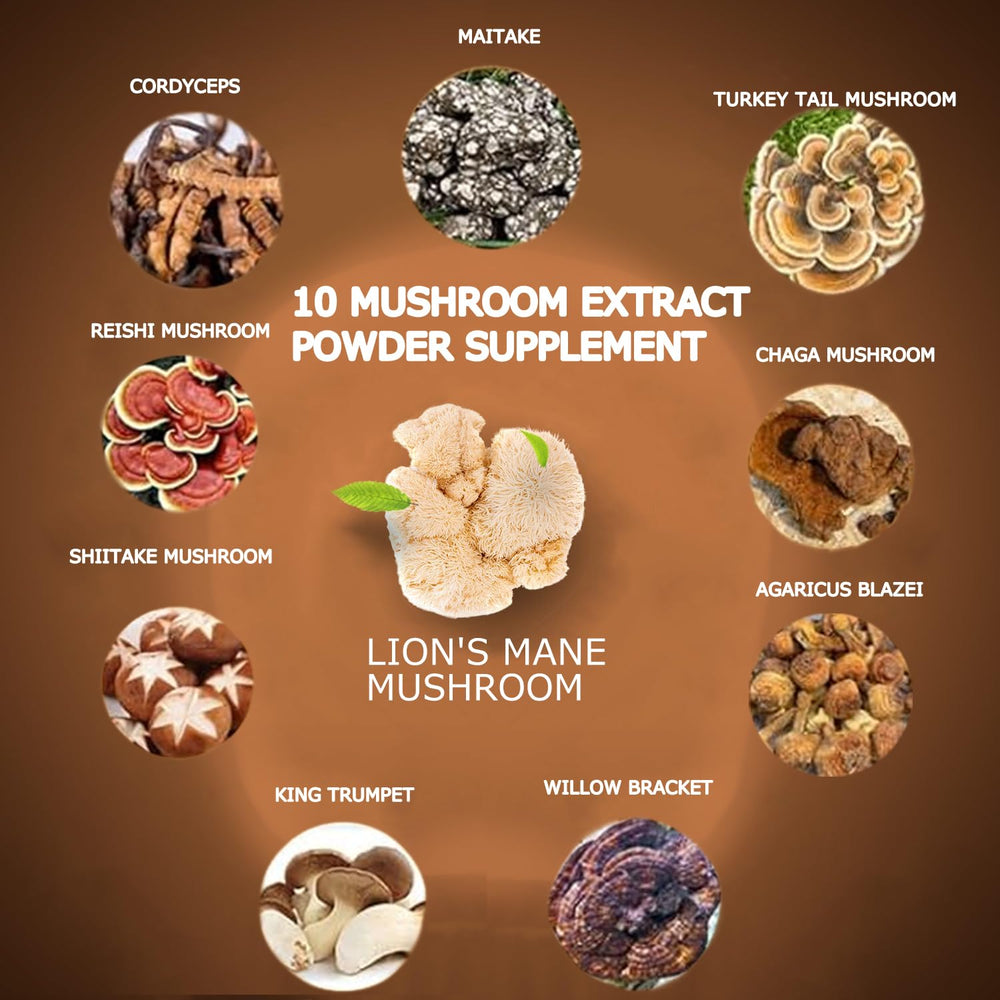Suiyilary Mushroom Coffee tub front highlights premium blend for energy and focus