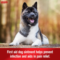 Sulfodene 3-Way Ointment applied to a dog's paw for minor injuries