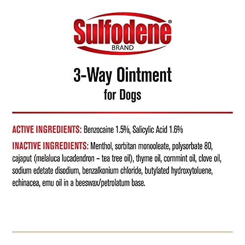 Ointment spread on a dog wound with Sulfodene