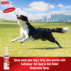 Sulfodene spray bottle closeup for easy spot treatment.