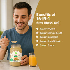 SumDIP Sea Moss Gel close-up texture showing smooth, rich gel consistency.