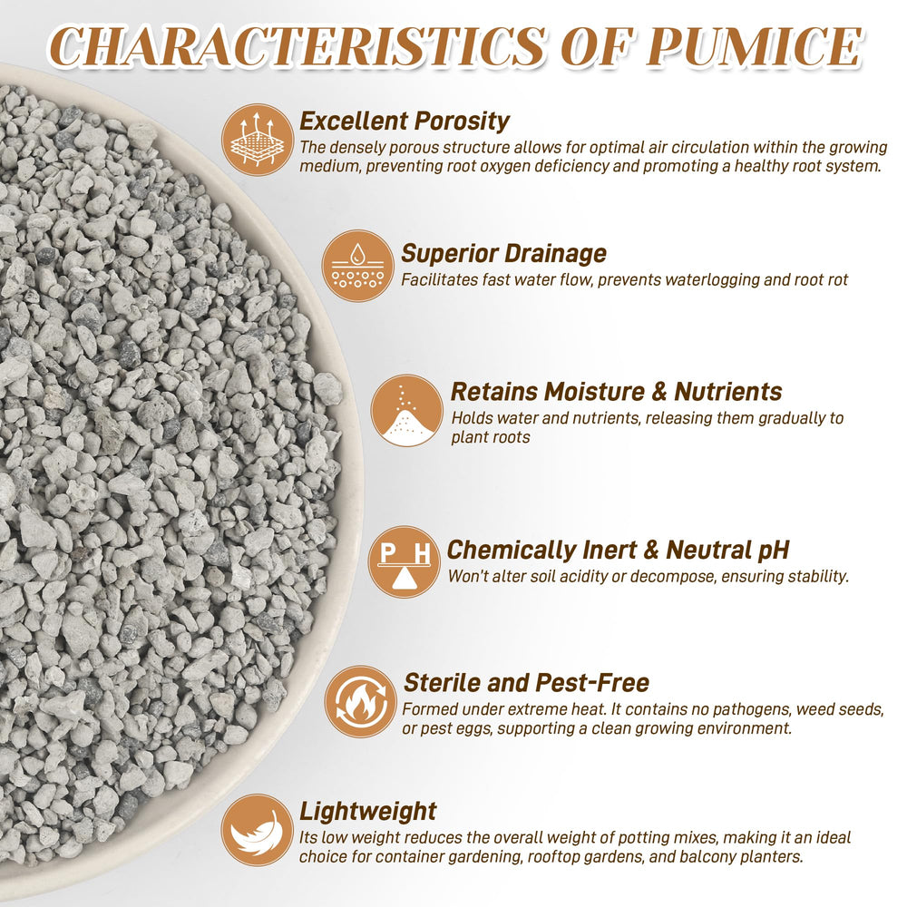 Sumloty pumice in orchid potting mix enhancing aeration and drainage