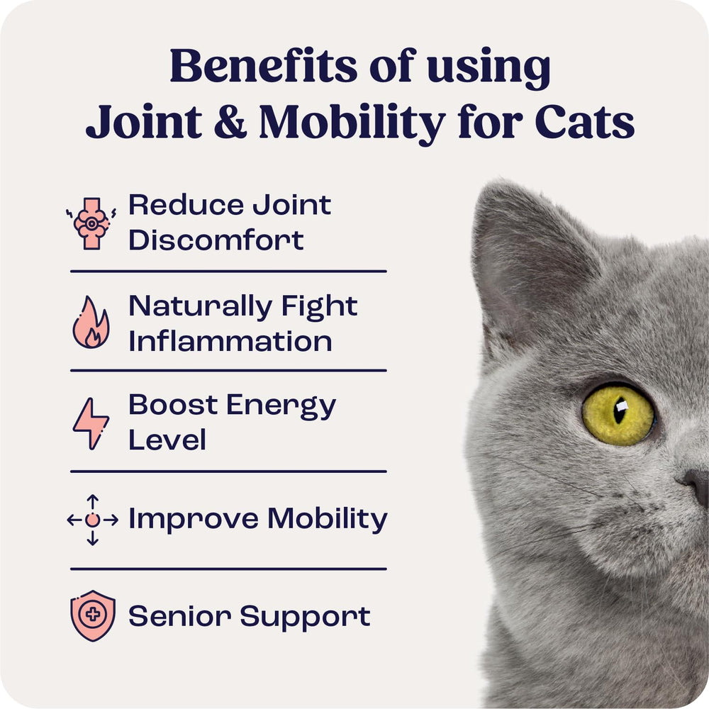 Summit Feline Joint Support capsules showing targeted hip and elbow relief