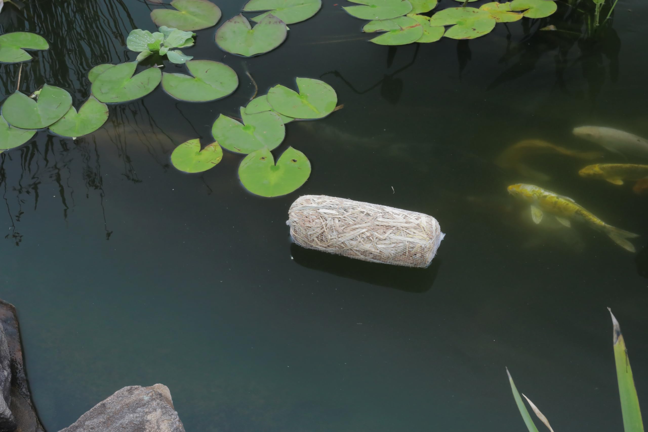 Barley-straw clarity for ponds helps maintain clear water year-round with Summit.