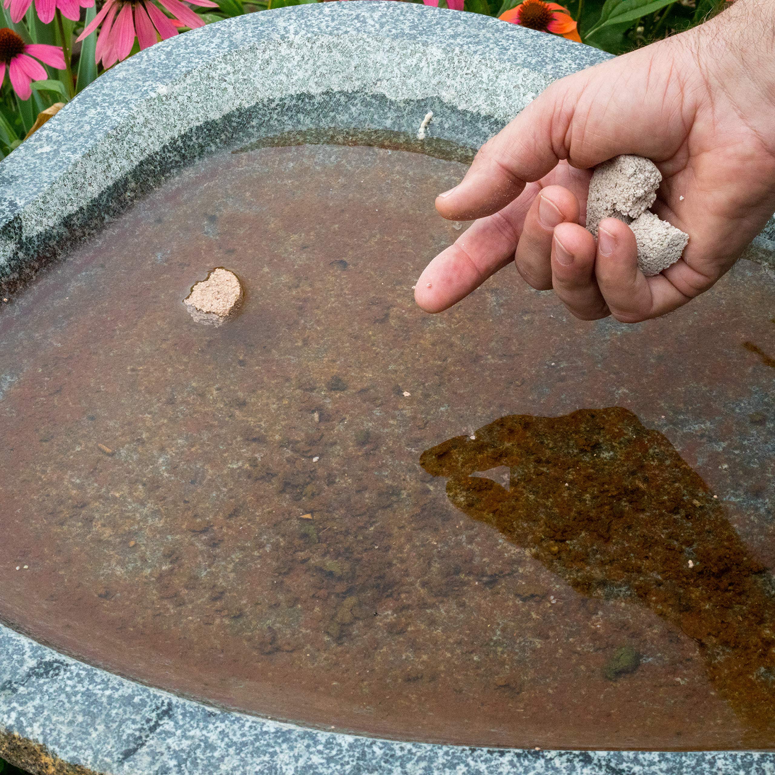 Outdoor pond scene with Dunks, illustrating 100-square-foot coverage.