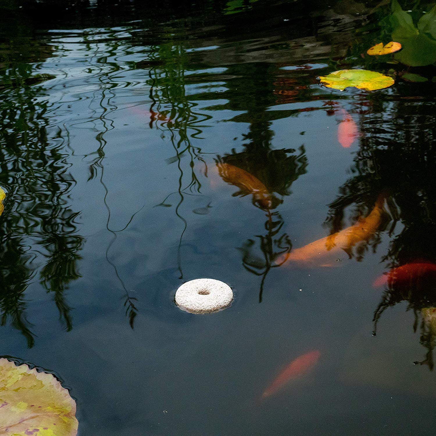 Summit Mosquito Dunks are safe for pets and wildlife while controlling larvae
