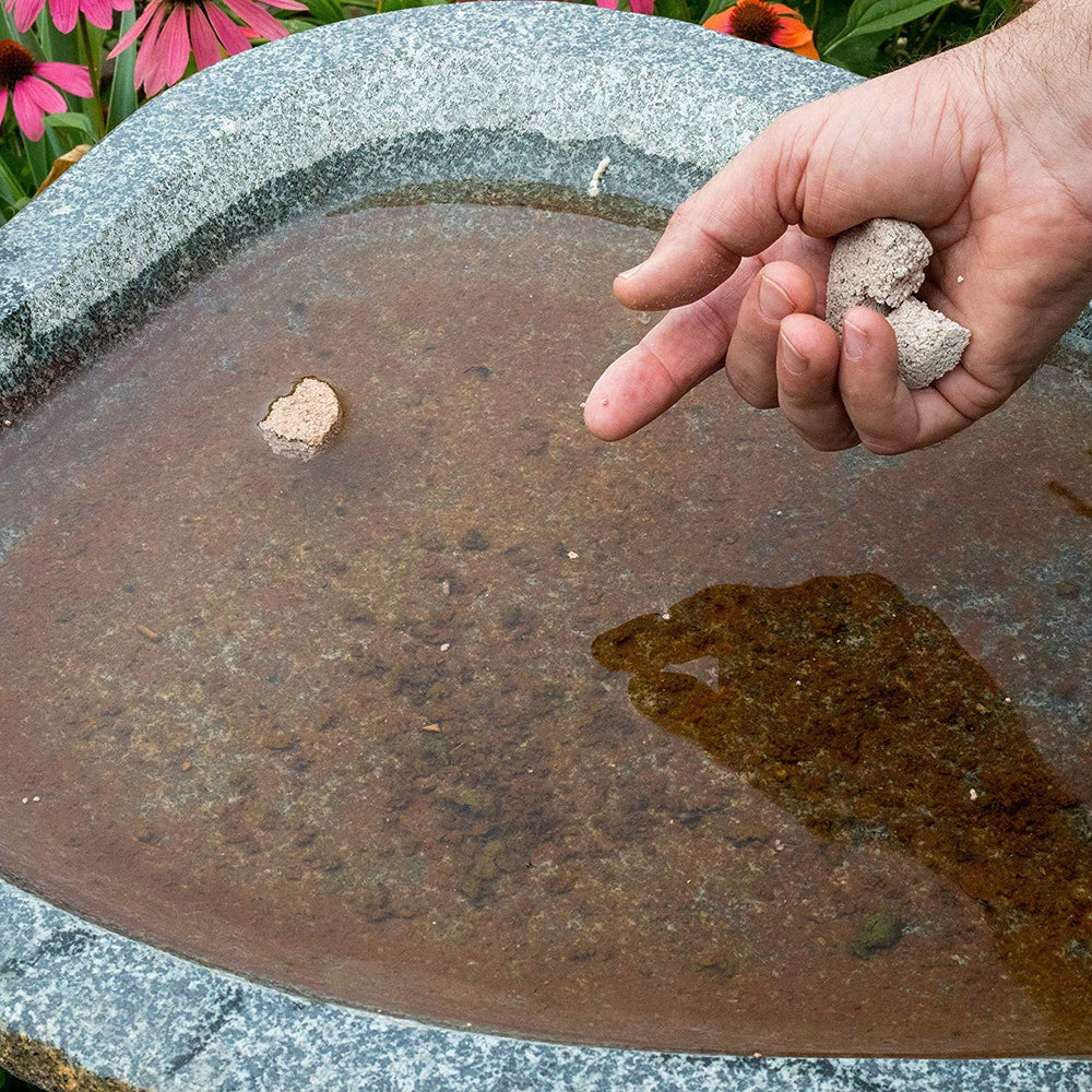 Summit Mosquito Dunks protect a water garden without harming fish