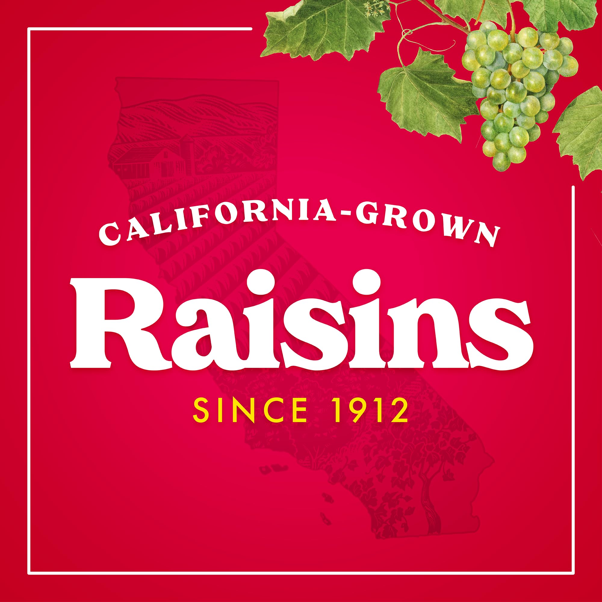 Sun-Maid raisins in a bowl ready to share at home or work.
