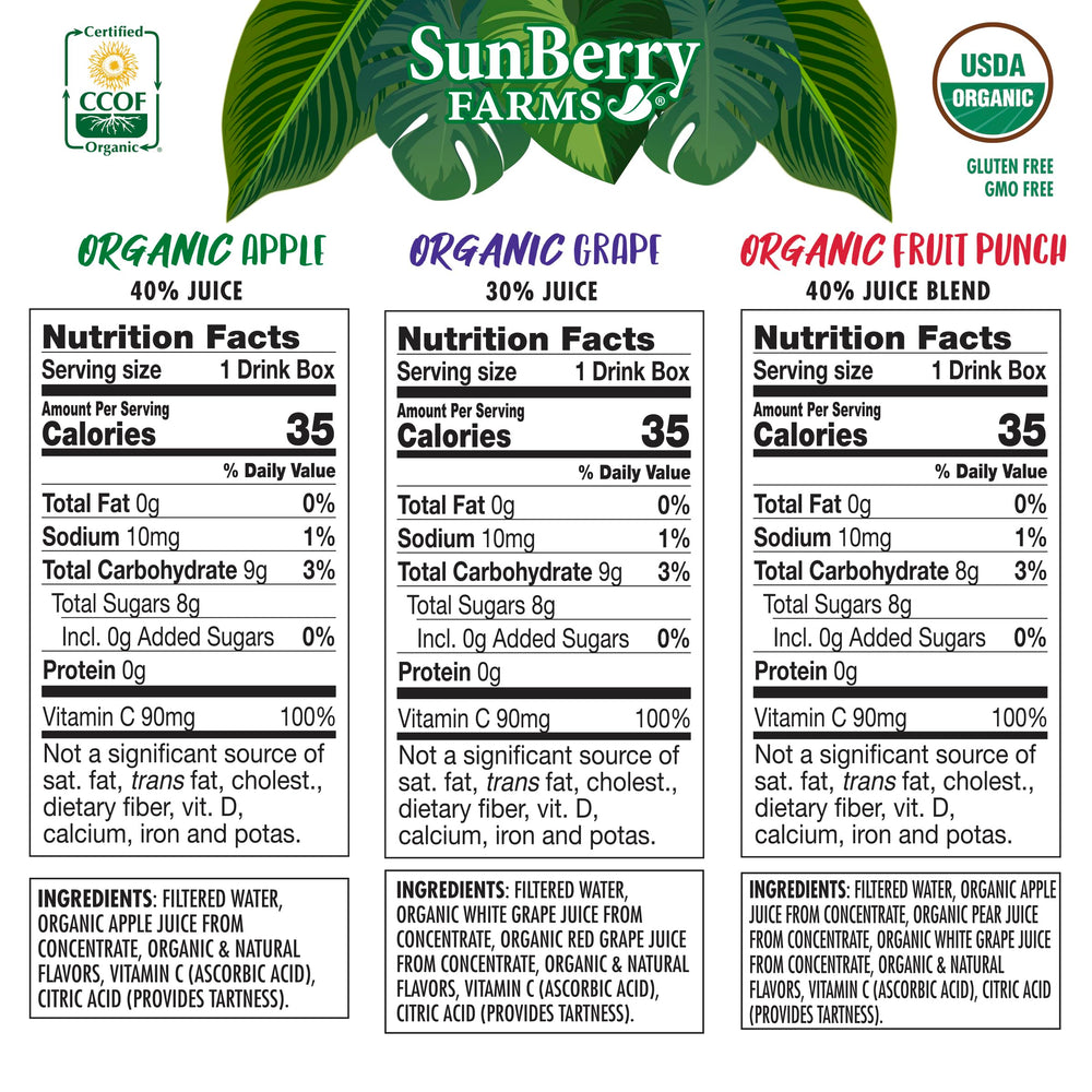 Sunberry Farms Fruit Punch juice box delivers kid-friendly flavor on the go.