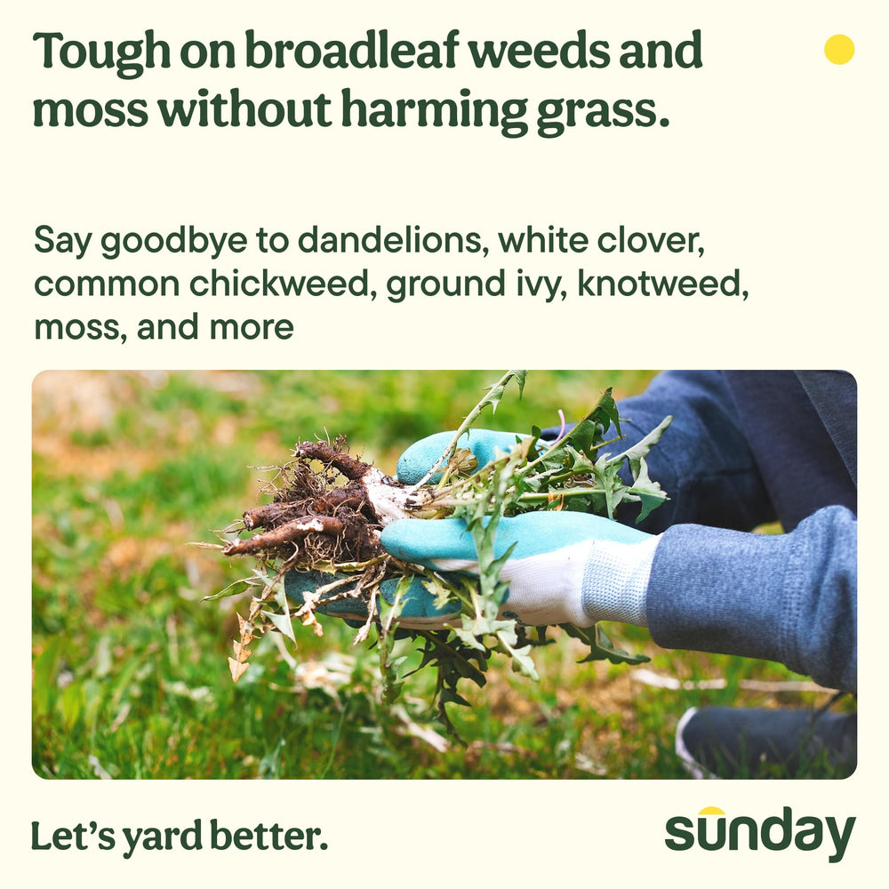 SUNDAY Dandelion Doom spot-treatment helps keep grass healthy
