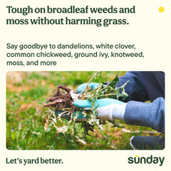 SUNDAY Dandelion Doom spot-treatment helps keep grass healthy