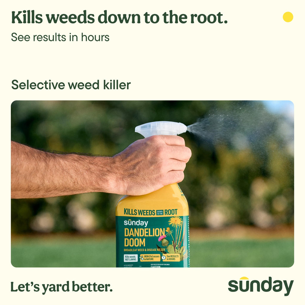 SUNDAY Dandelion Doom spray nozzle targets weeds with precision