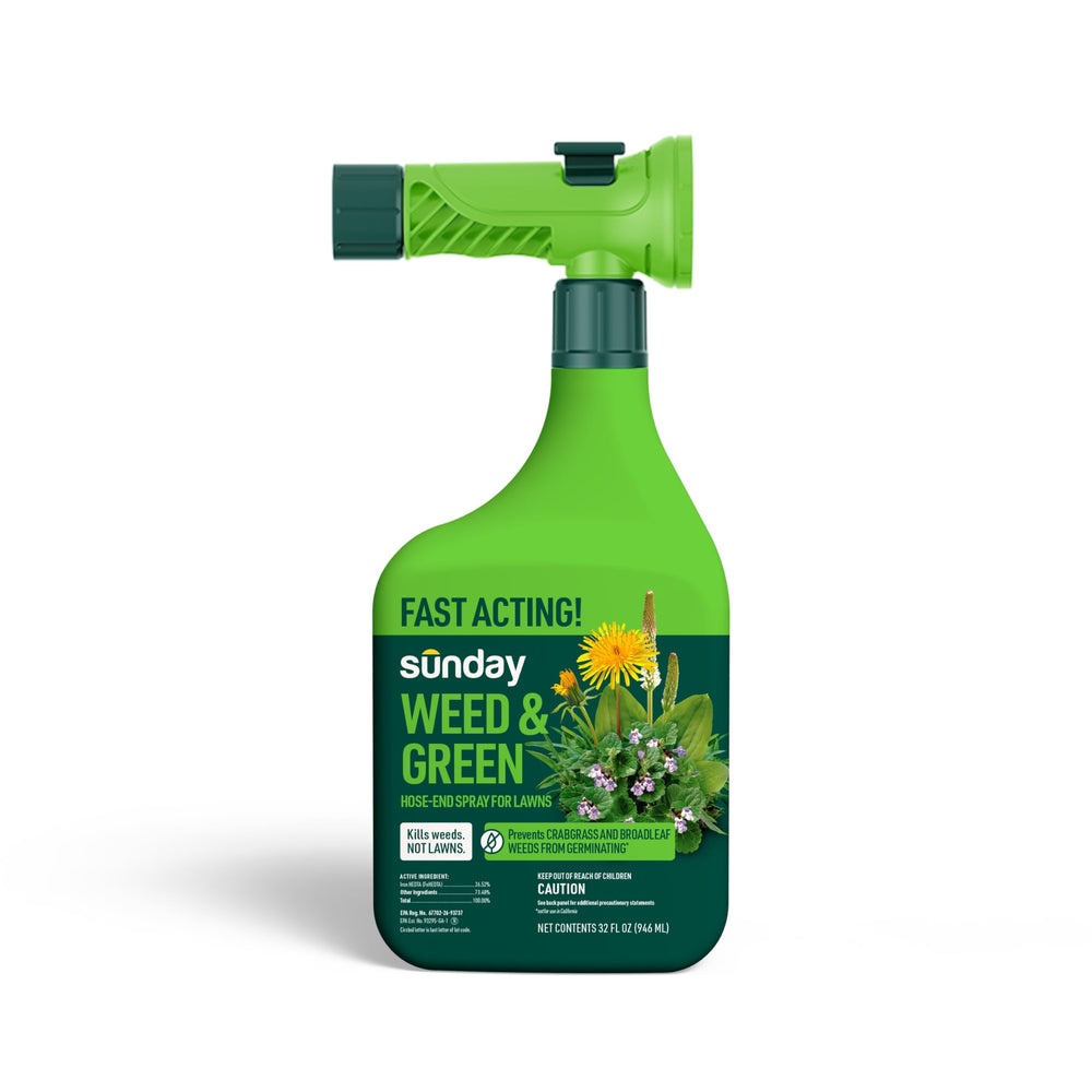 SUNDAY Weed & Green spray attached to hose-end nozzle for quick lawn treatment