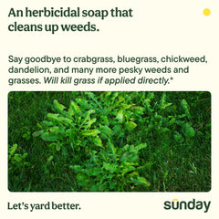 SUNDAY Weed Warrior application on flower bed demonstrates spot treatment near borders.