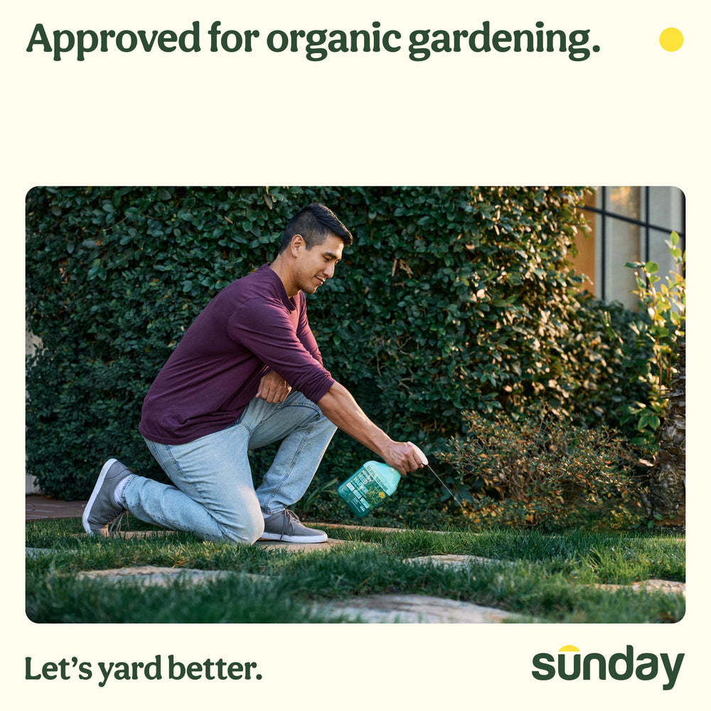 SUNDAY Weed Warrior bottle pour demonstrates easy spray-on target application.