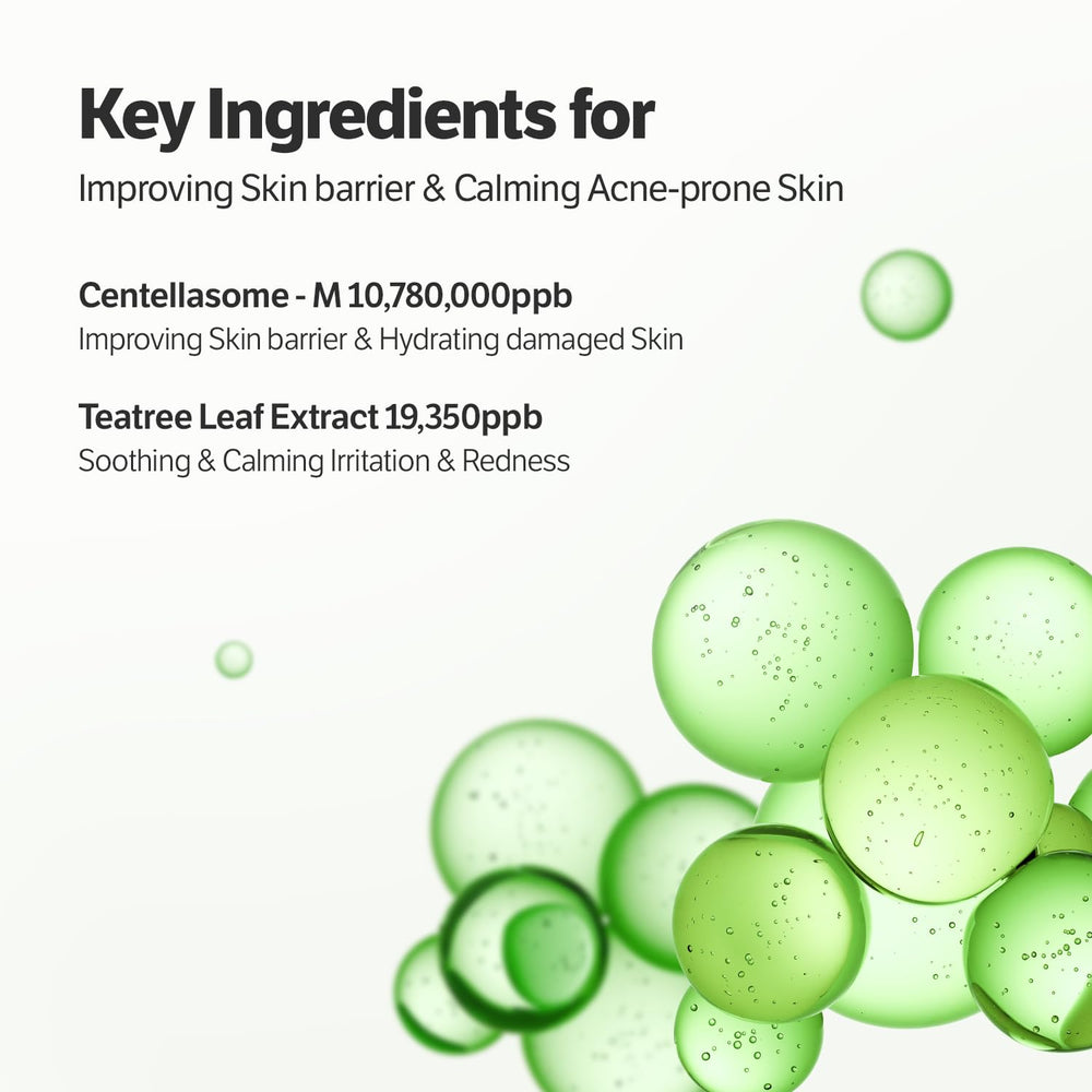 SUNGBOON EDITOR Packaging set for Deep Collagen CICA Tea Tree Overnight Mask emphasizes gift-ready skincare