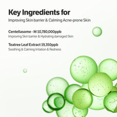 SUNGBOON EDITOR Packaging set for Deep Collagen CICA Tea Tree Overnight Mask emphasizes gift-ready skincare