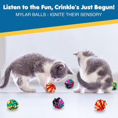 SunGrow interactive cat ball playset promotes movement and coordination.