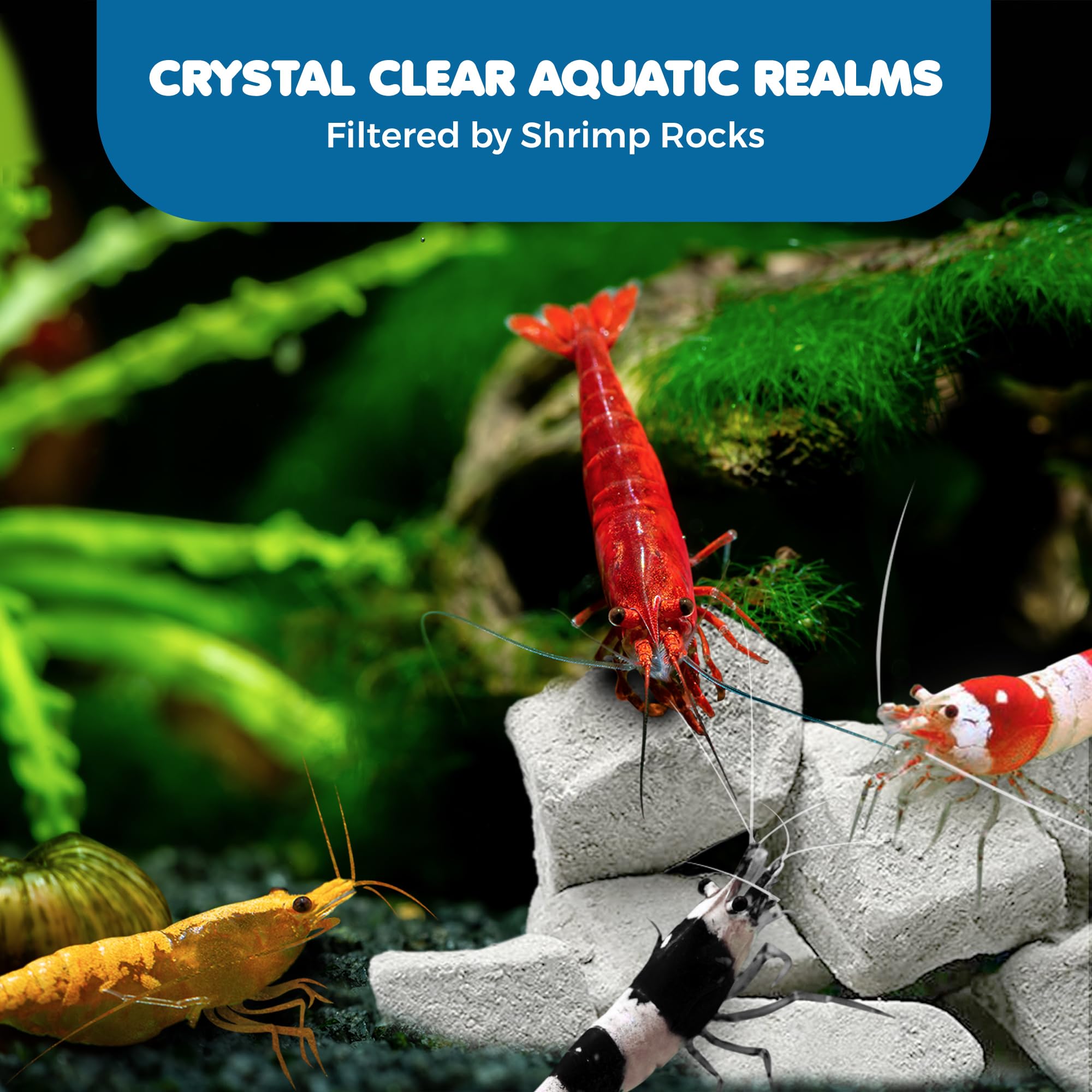 SunGrow paquet de 4 onces de roches, solution compacte pour nano-aquariums.