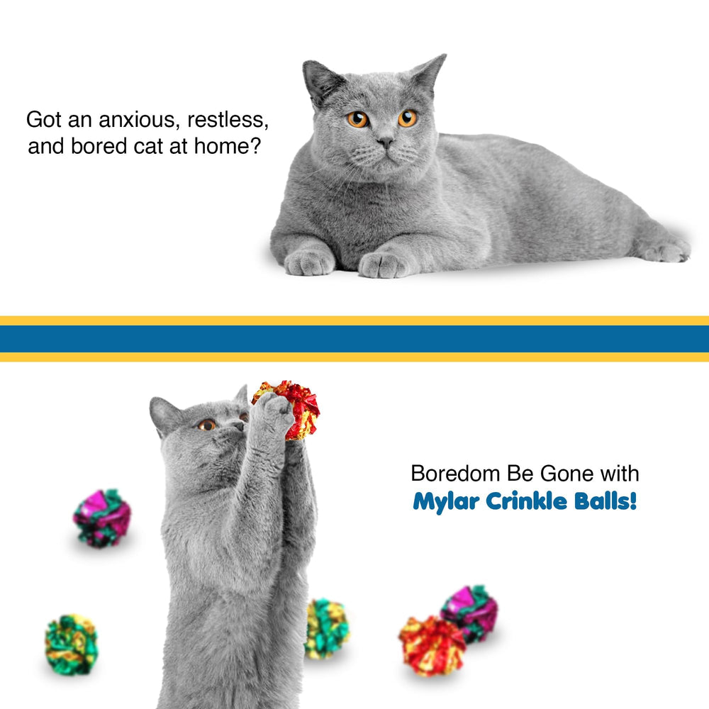 SunGrow safe non-toxic cat toy balls for indoor fun.