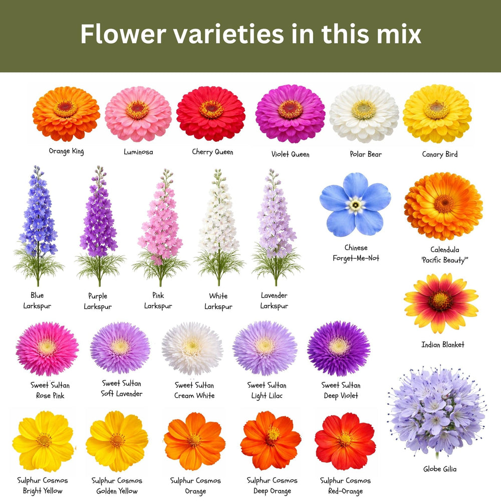 SunHaven Seeds easy-to-grow mix ideal for beginner-cut-flower gardens