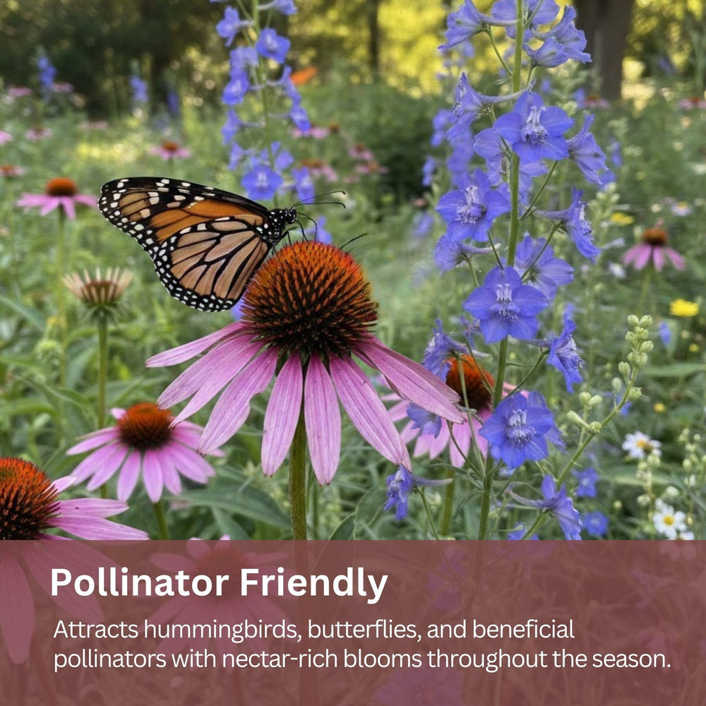 Full-sun garden thriving with SunHaven Seeds wildflowers.
