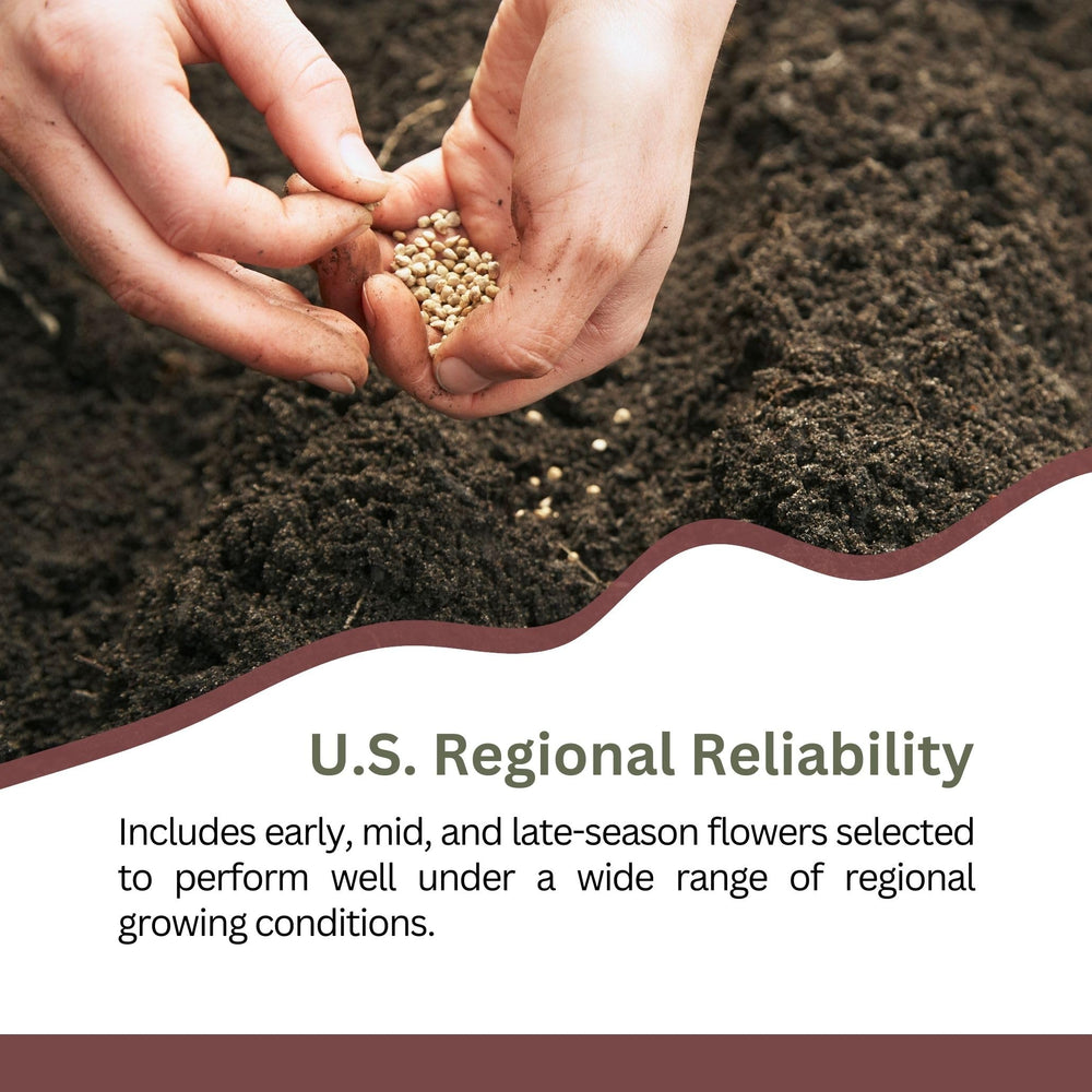 Nectar-rich bloom variety from SunHaven Seeds supports pollinators all season.