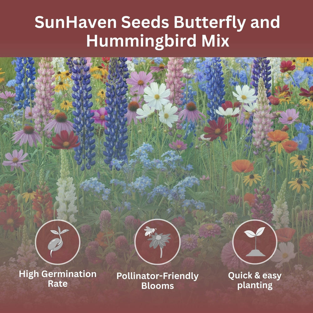 Pollinator-friendly bed from SunHaven Seeds ready to attract bees and hummingbirds.