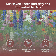Pollinator-friendly bed from SunHaven Seeds ready to attract bees and hummingbirds.