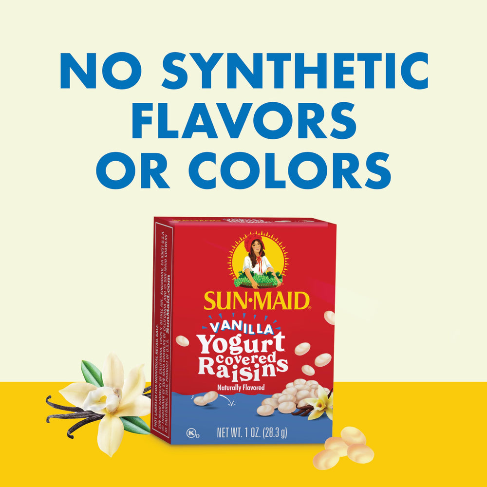 Sun-Maid Chocolate Yogurt Covered Raisins close-up coating detail