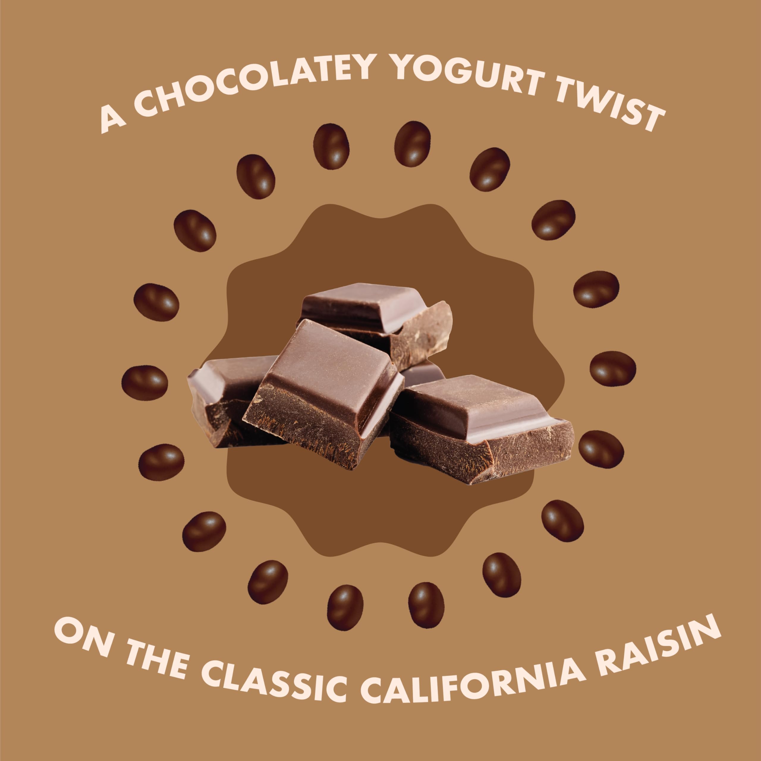 Sun-Maid Chocolate Yogurt Covered Raisins in kids lunchbox