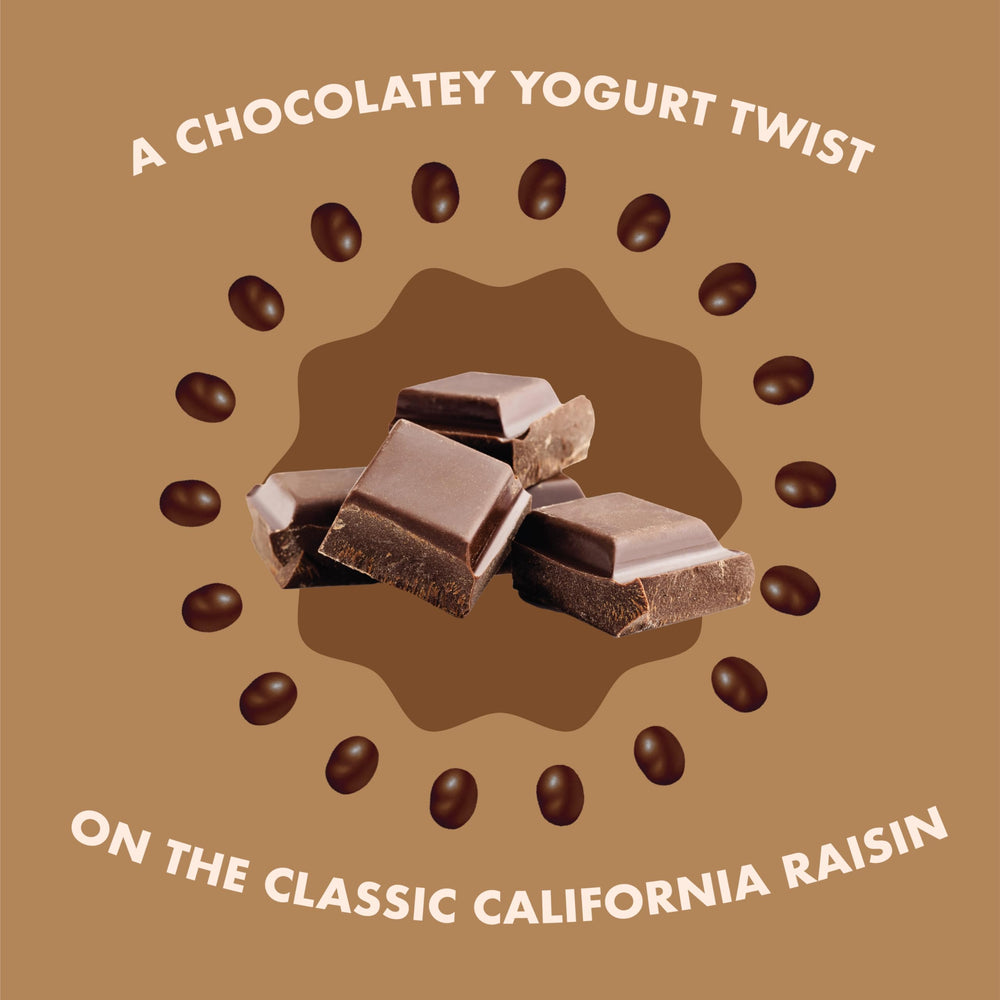 Sun-Maid Chocolate Yogurt Covered Raisins in kids lunchbox
