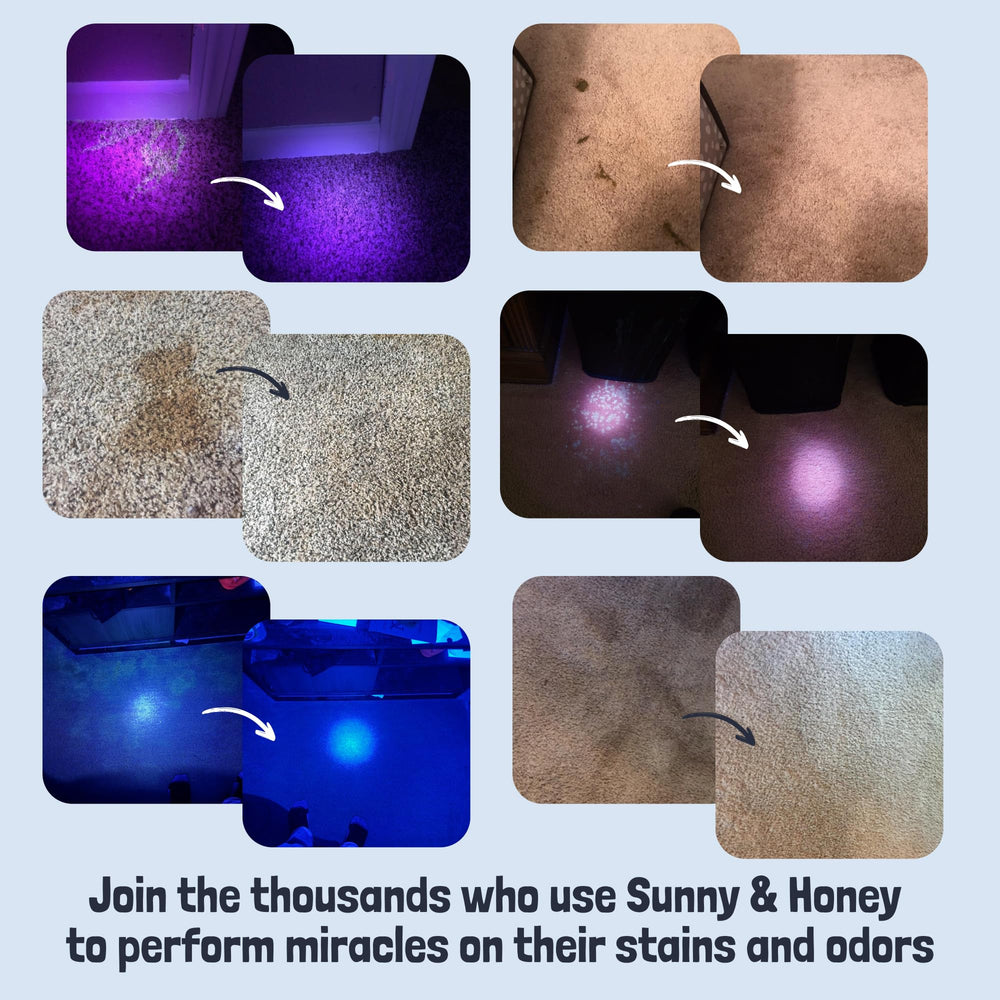 Sunny and Honey 32oz bottle provides convenient minty cleanliness for households with pets.