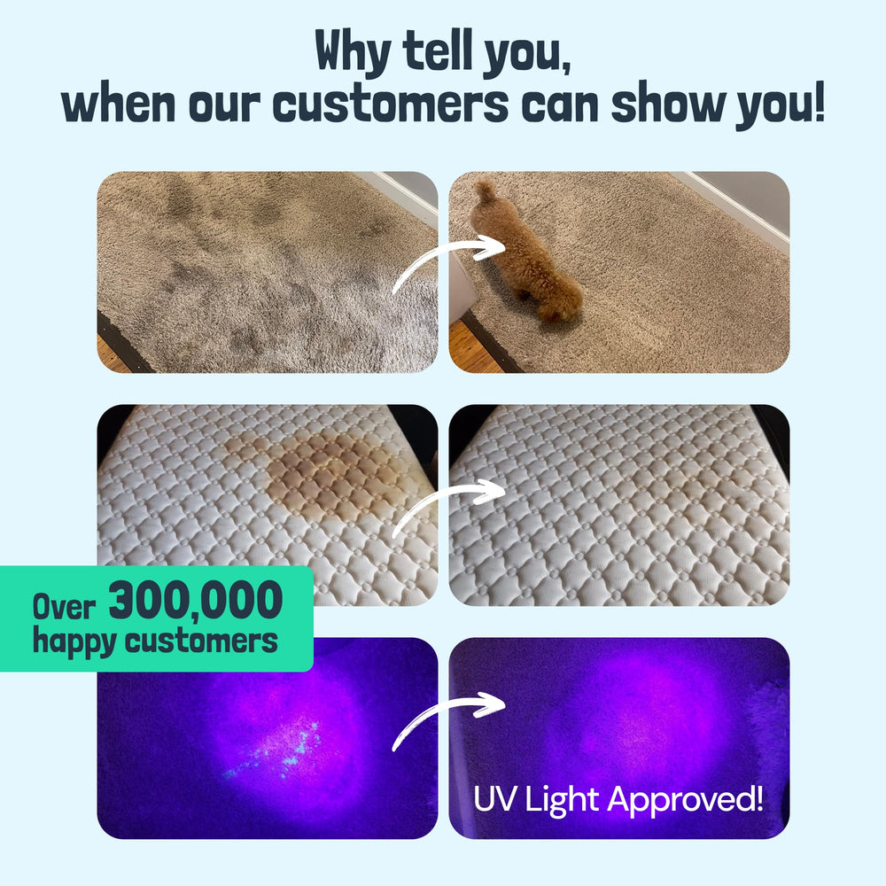 Sunny & Honey carpet cleaner label close-up highlights biodegradable formula