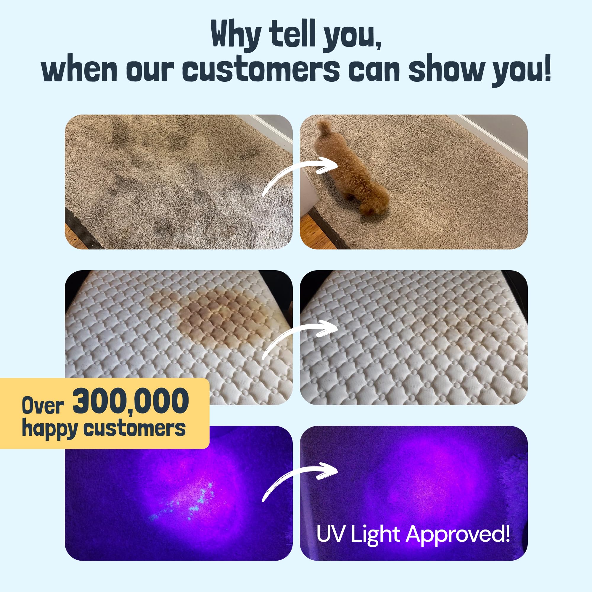 Sunny & Honey carpet cleaner solution stain removal highlights powerful cleaning on tough spots.