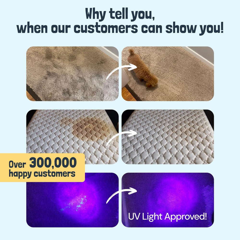 Sunny & Honey carpet cleaner solution stain removal highlights powerful cleaning on tough spots.