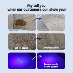 Sunny and Honey urine cleaner for dogs targets carpet odors with enzyme action.