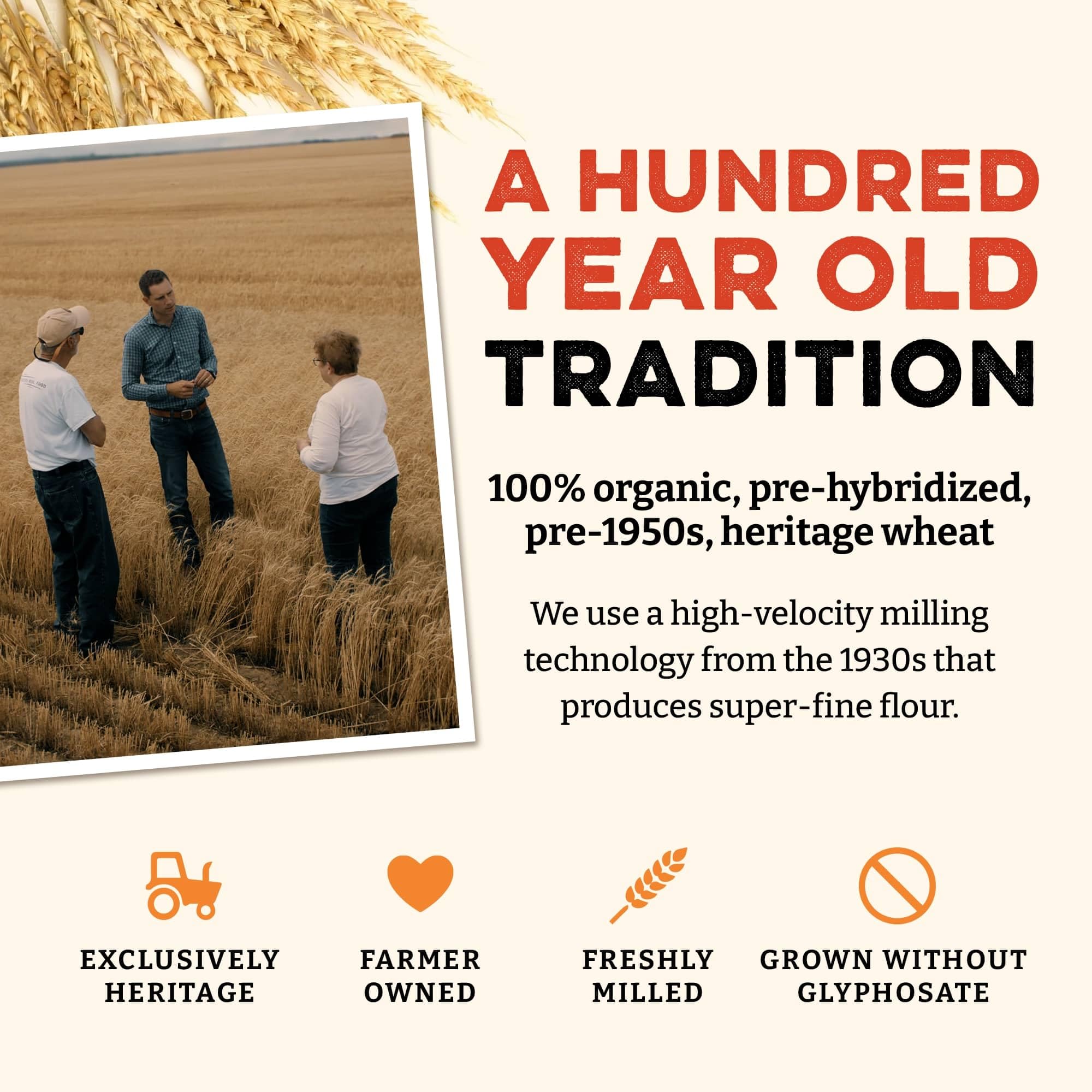 Sunrise Flour Mill organic certification label emphasizes purity and farm-to-table baking potential