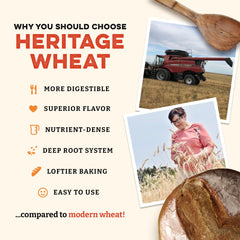 Sunrise Flour Mill ultra-fine grind texture demonstrating lighter dough