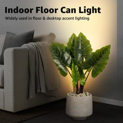 Sunvie up lights with included 5W bulbs for cozy lighting