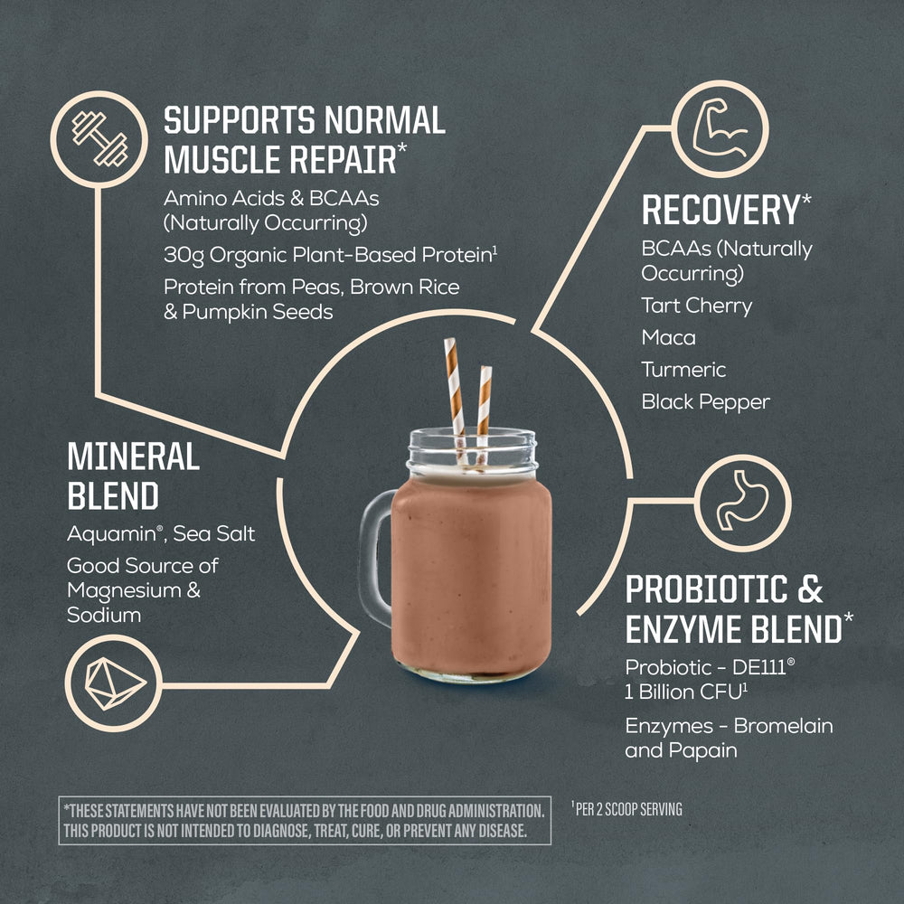 Sunwarrior Plant Protein ingredients Rice-Pumpkin-Pea high-quality vegan blend