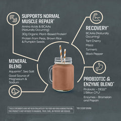 Sunwarrior Plant Protein ingredients Rice-Pumpkin-Pea high-quality vegan blend